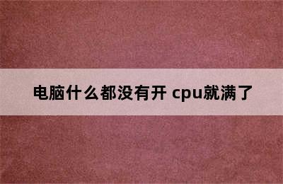 电脑什么都没有开 cpu就满了